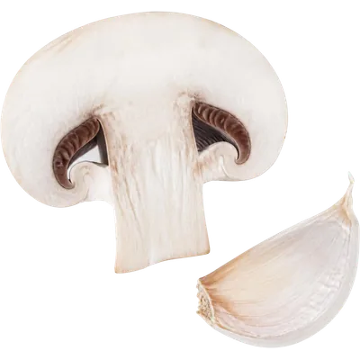 Mushrooms